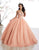 Fiesta Gowns - 56325 Strapless Bedazzled Sweetheart Tulle Ballgown