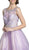 Embellished Illusion Bateau Homecoming Dress