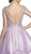 Embellished Illusion Bateau Homecoming Dress