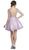 Embellished Illusion Bateau Homecoming Dress