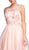 Floral Applique A-line Homecoming Dress