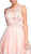 Floral Applique A-line Homecoming Dress
