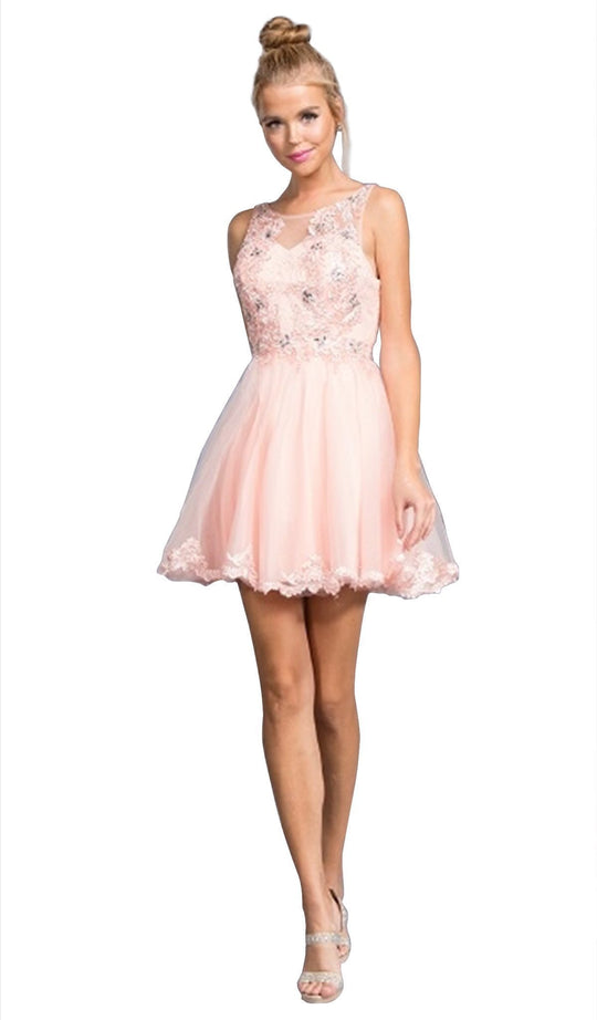 Floral Applique A-line Homecoming Dress