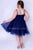 Sydney's Closet - SC8094 Pleated Sweetheart Tulle A-line Dress In Blue