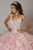 Quinceanera Collection - 26921 Sleeveless Beaded Bodice Ballgown In Gold and Pink