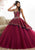 Quinceanera Collection - 26873 Illusion Jewel Pleated Ballgown