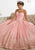 Quinceanera Collection - 26874 Strapless Sweetheart Pleated Ballgown