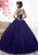 Fiesta Gowns - 56338 Beaded Jewel Neck Tulle Ballgown