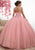 Fiesta Gowns - 56340 Sequined Cap Sleeve Bateau Tulle Ballgown