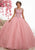 Fiesta Gowns - 56340 Sequined Cap Sleeve Bateau Tulle Ballgown