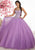Fiesta Gowns - 56343 Ornate Strapless Sweetheart Tulle Ballgown
