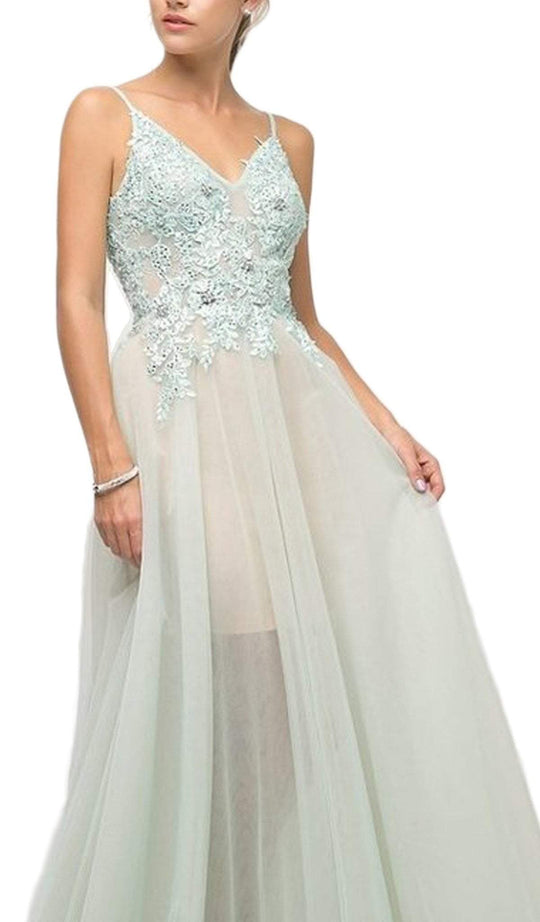Appliqued V-neck Tulle A-line Dress