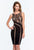 Terani Couture - 151C0226A Ornate Striped Sheath Dress in Black and Neutral