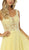 Nox Anabel - A170 Floral Lace V-neck A-line Dress In Yellow
