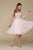 Nox Anabel - A660 Beaded Lace V-neck A-line Dress In Pink