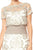 Tadashi Shoji - Sequin-Embroidered Short Sleeve Lace Gown In Neutral and White