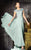Alyce Paris - Beaded Lace Illusion Bateau Evening Gown 29655 in Green