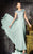 Alyce Paris Black Label - 29655 Beaded Lace Bodice Evening Gown in Green