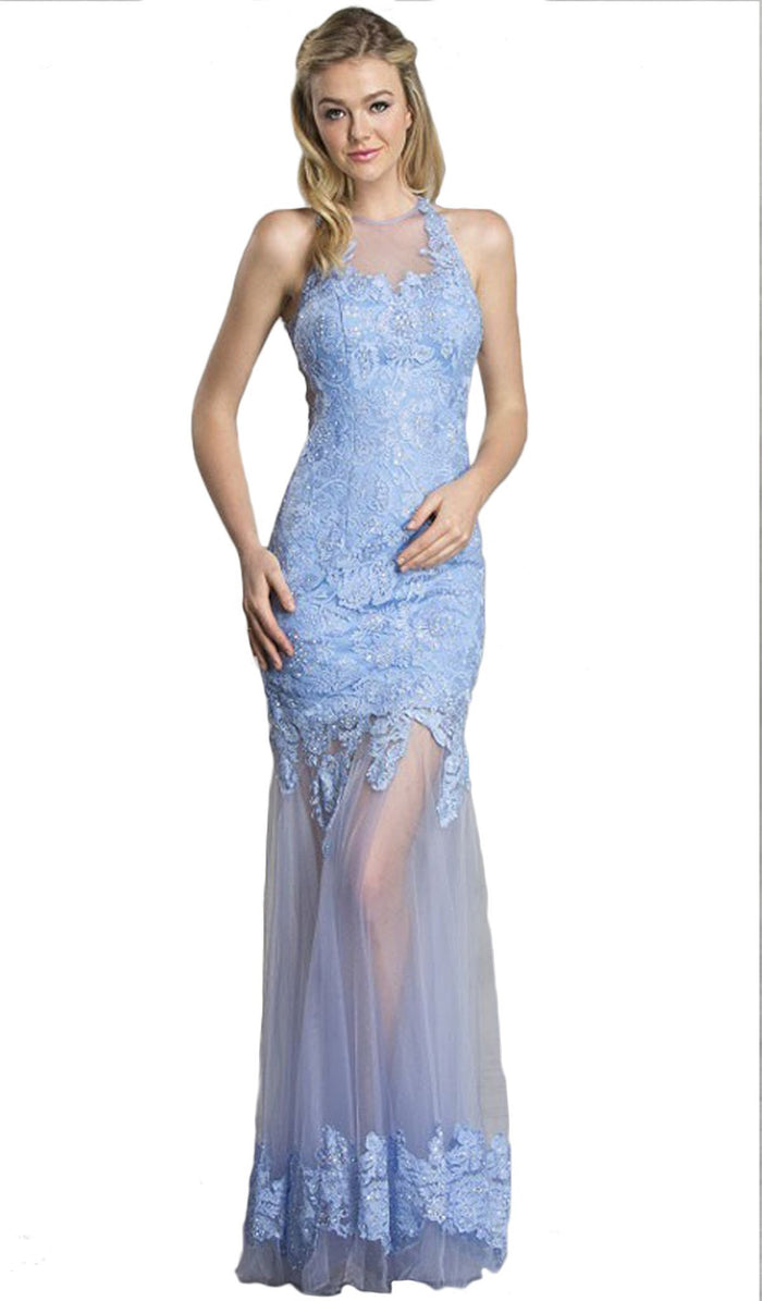 Long Sheath Gown with Sheer Illusion Skirt