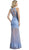 Long Sheath Gown with Sheer Illusion Skirt