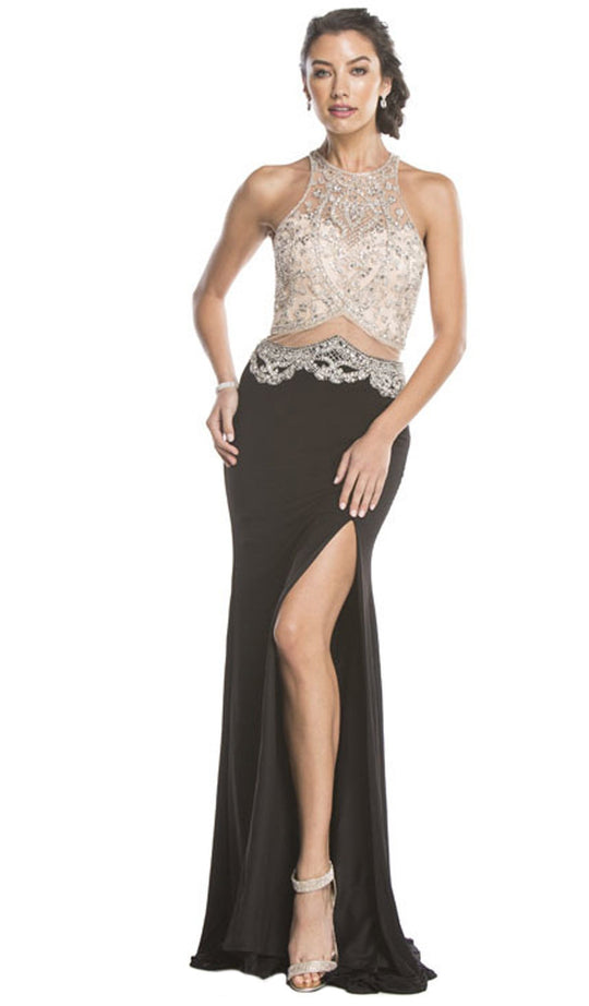 Embellished Sheer Fitted Evening Dress