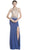 Embellished Sheer Fitted Evening Dress