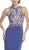 Sheer Embellished Fitted Evening Dress