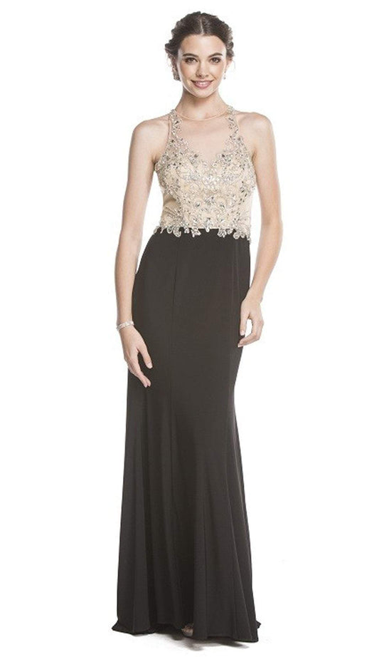 Beaded Sheer Sheath Evening Dress