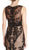 Embellished Illusion Bateau Fitted Evening Dress