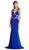 Detailed V-neck Fitted Evening Dress