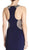 Embellished Jewel Neck Sheath Evening Dress