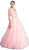 Embellished V-neckline A-line Prom Dress