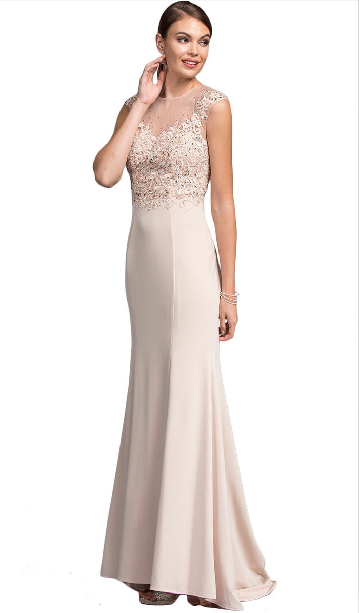 Embroidered Sheath Mother of Bride Dress