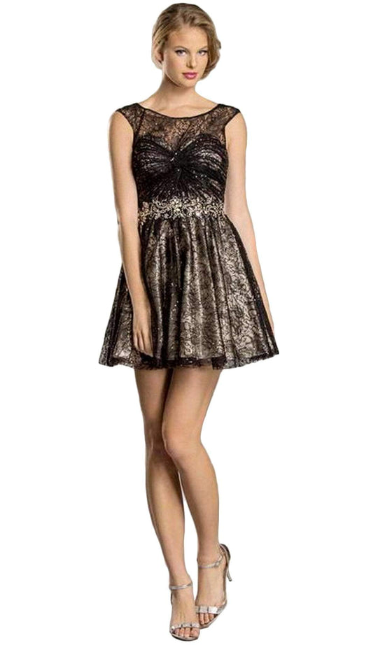 Embellished Lace A-line Homecoming Dress