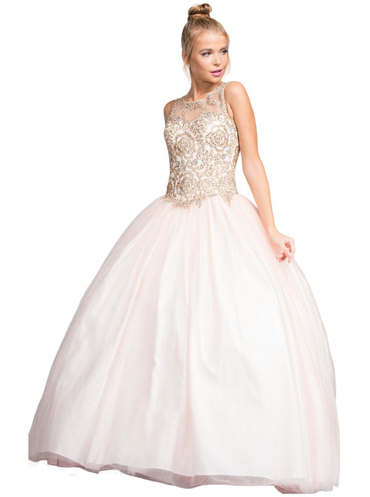 Embellished Illusion Bateau Evening Ballgown