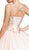 Embellished Illusion Bateau Evening Ballgown