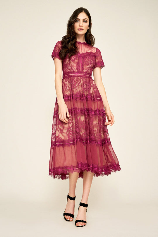 Tadashi Shoji - Lace Shirred Jewel Tea Length Dress In Red and Neutral