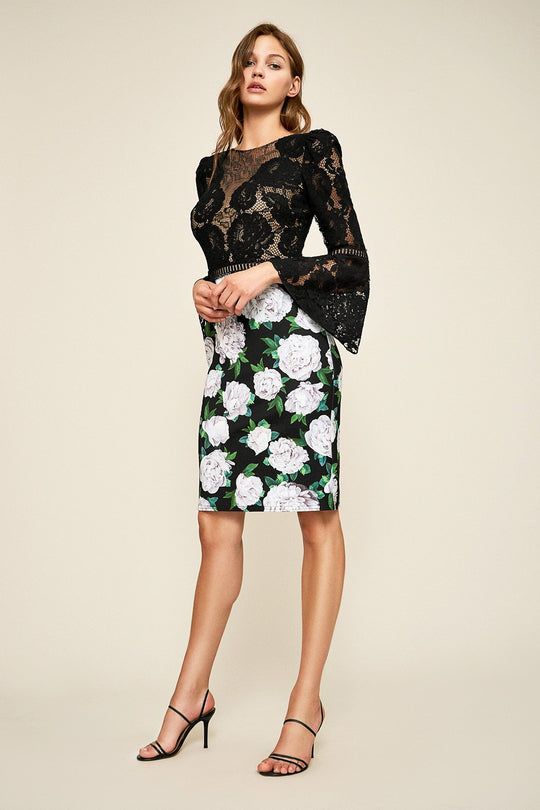 Tadashi Shoji - Gower Floral Lace Neoprene Fitted Dress In Black and White