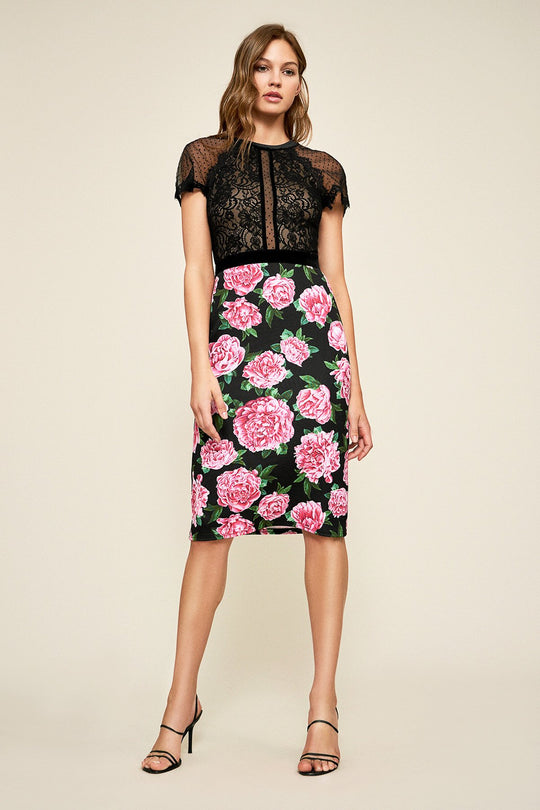 Tadashi Shoji - Rosta Lace Floral Print Fitted Dress In Black and Pink
