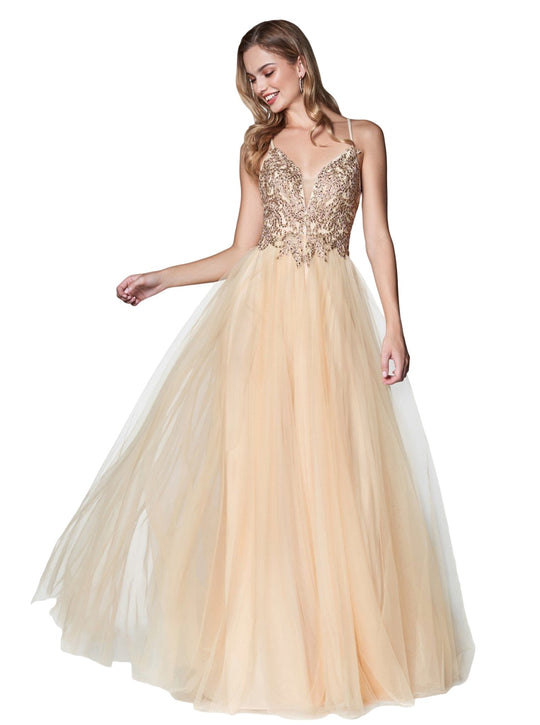 Cinderella Divine - CD0128 Applique Detailed Bodice Tulle A-Line Gown In Neutral