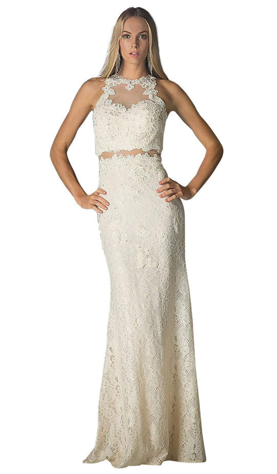 Illusion Lace Appliqued Sheath Gown