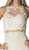 Cinderella Divine - Illusion Lace Appliqued Sheath Gown