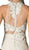 Cinderella Divine - Illusion Lace Appliqued Sheath Gown