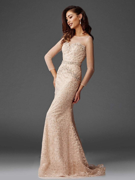 Clarisse - M6427 Mesh Sleeved Embroidered Long Gown in Champagne