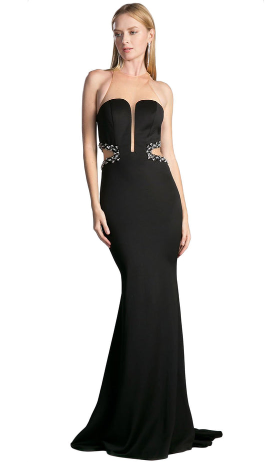 Sheer Fitted Side Embellished Mermaid Gown