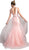 Cinderella Divine - Lace Appliqued Mermaid Dress with Overlay
