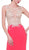 Sheer Fitted Sleeveless Evening Dress