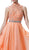 Cinderella Divine - Embroidered High Neck Chiffon Dress