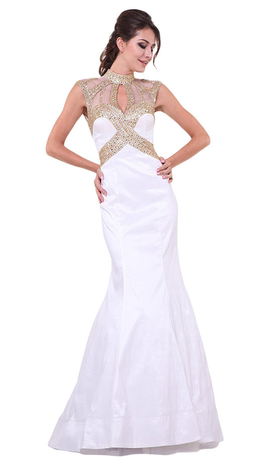 Embellished Sheer High Neck Fitted Evening Gown