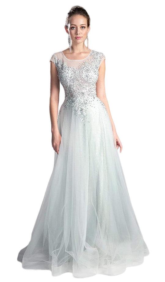 Sheer Scoop Beaded Tulle A-Line Evening Gown